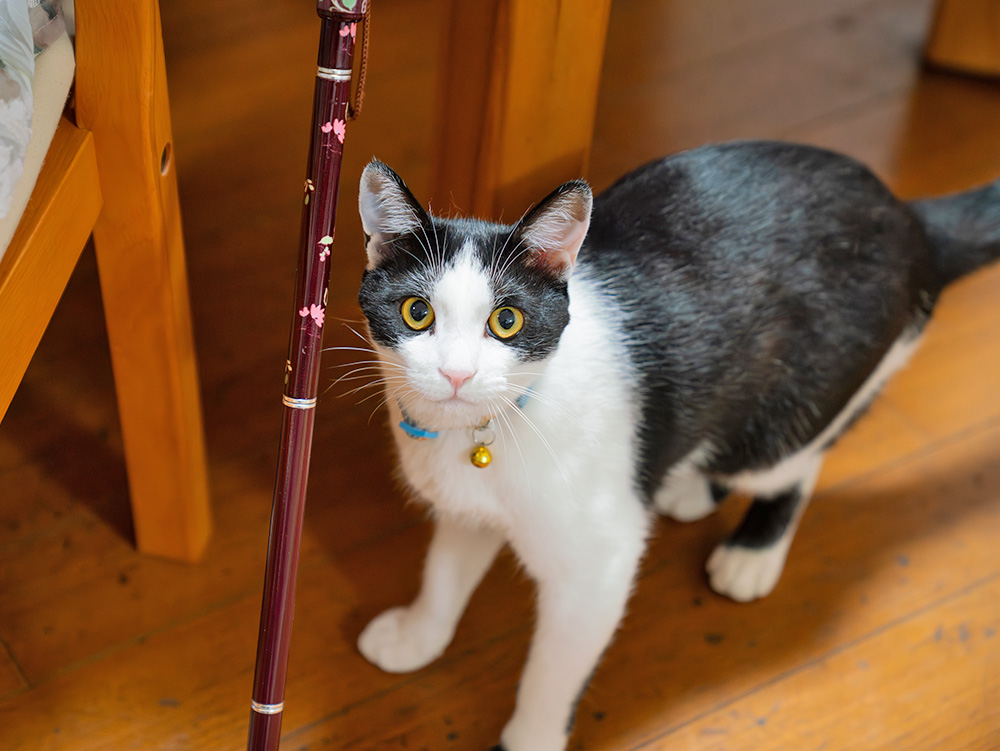 自分らしく、笑顔で過ごすための時間と場所を。画像