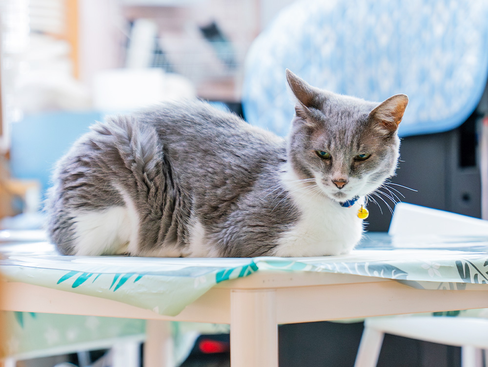 私たちの強み・特長画像